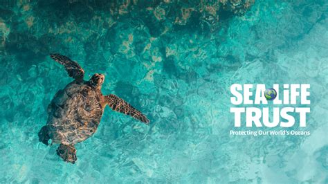 marine life charities.